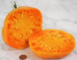 Tomātu sēklas - Kellogg's Breakfast