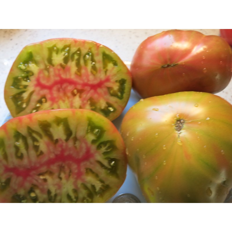 Tomātu sēklas - Ananas Noir