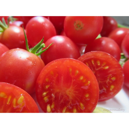 Tomātu sēklas - SWEET AS LINDA